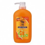 Kakishibu Shampoo (600ml)
