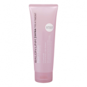 Salon Link Extra Treatment Repair & Protect (300g)