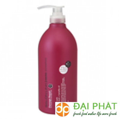Salon Link Amino Damage Repair Shampoo (1000ml)