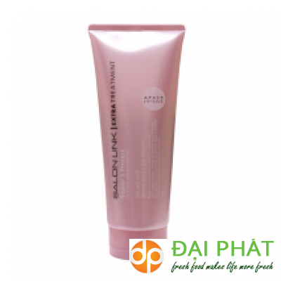 Salon Link Extra Treatment Repair & Protect (250g)
