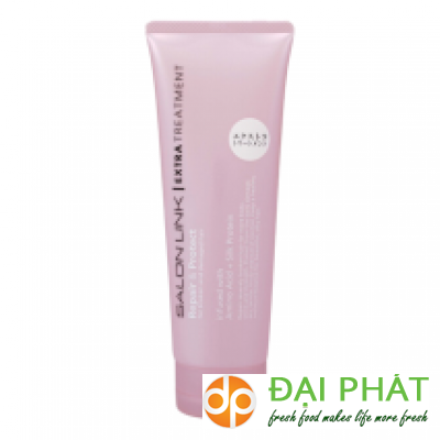 Salon Link Extra Treatment Repair & Protect (300g)